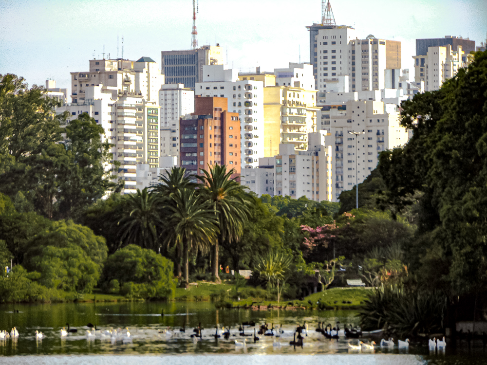 Sao Paulo Parc Ibirapuera