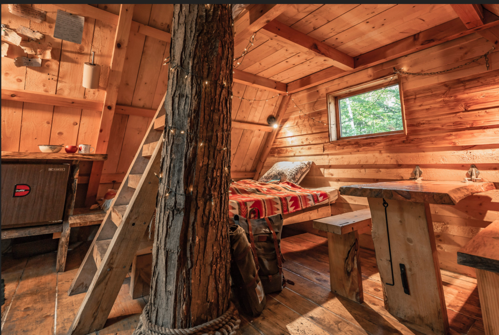 Cabane dans les arbres