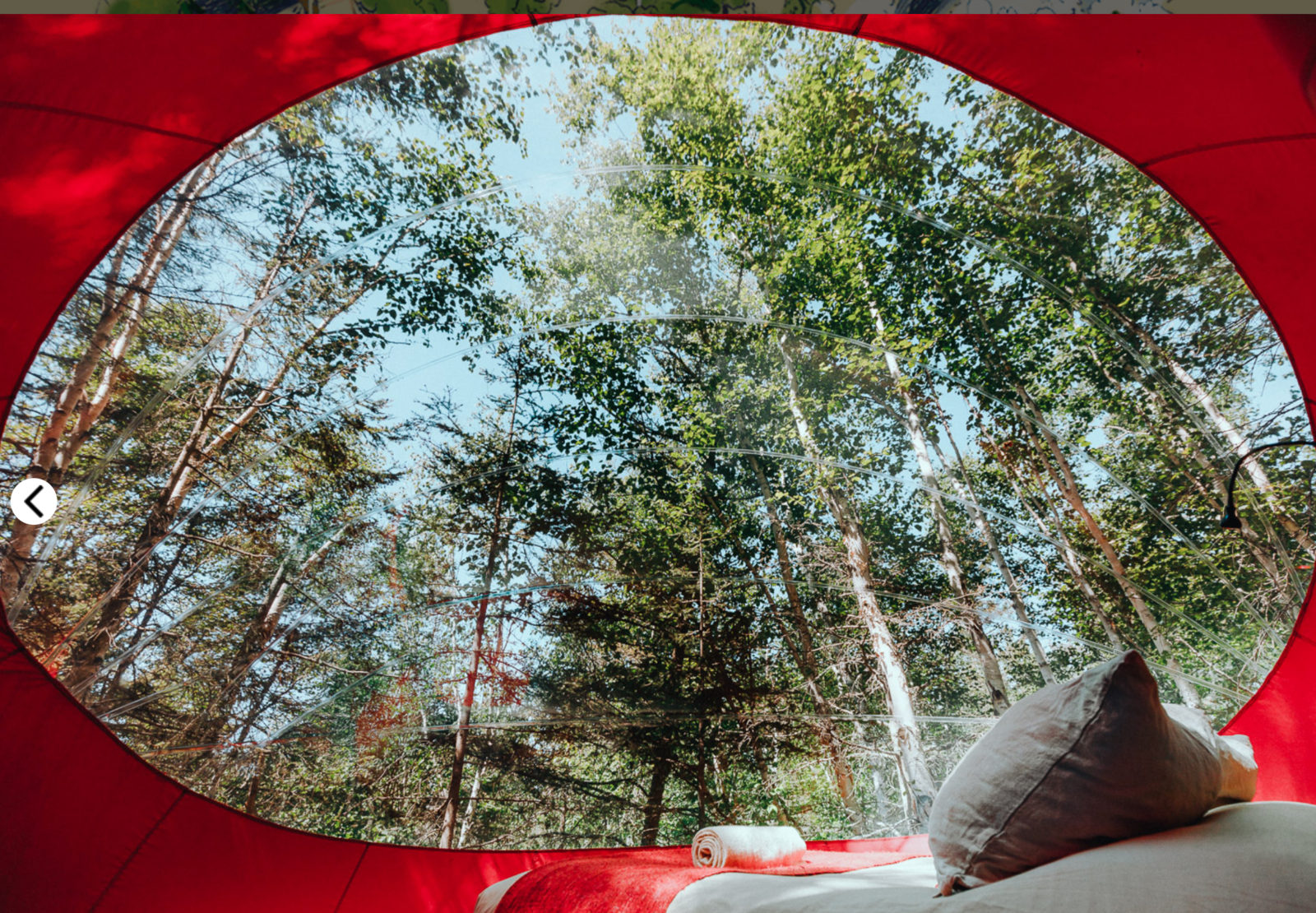 Bulle chez Canopée-lit.