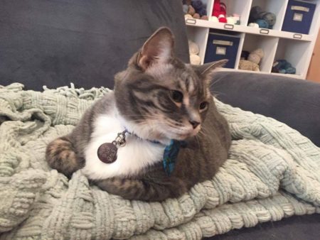 da—f-e–fd———d—-d-ad—-d-