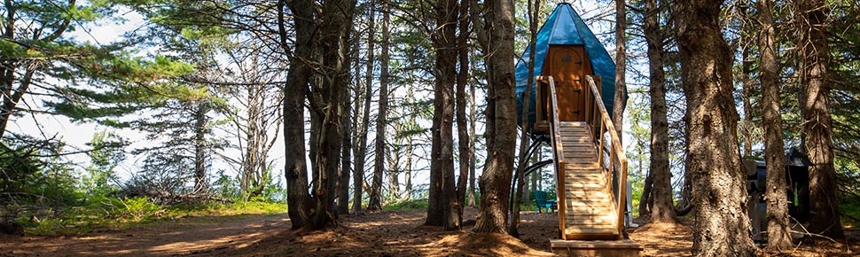 Ôacis, goutte d'eau dans les arbres