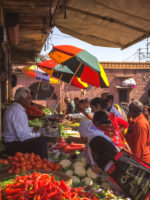 Jodhpur Marche Public