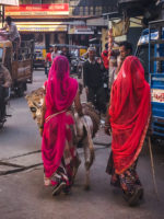 Jodhpur Scene De Rue