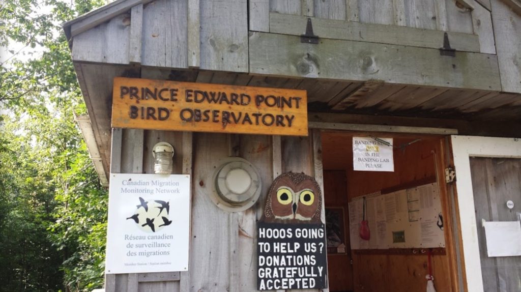 Réserve naturelle, Sandbanks