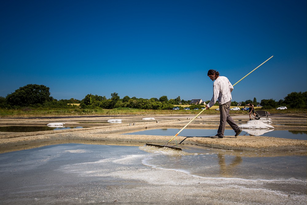 Dans Les Marais Salants De Guerande Avec Laurent Bourcier Simon