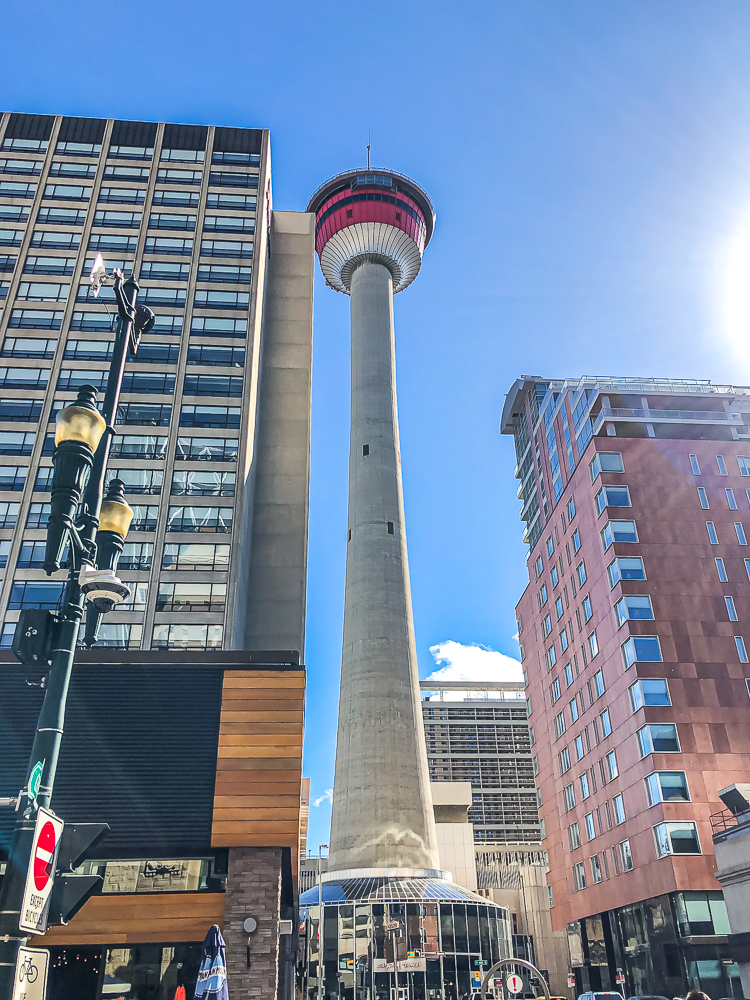 Fairfield Inn And Suites By Marriott Calgary Downtown