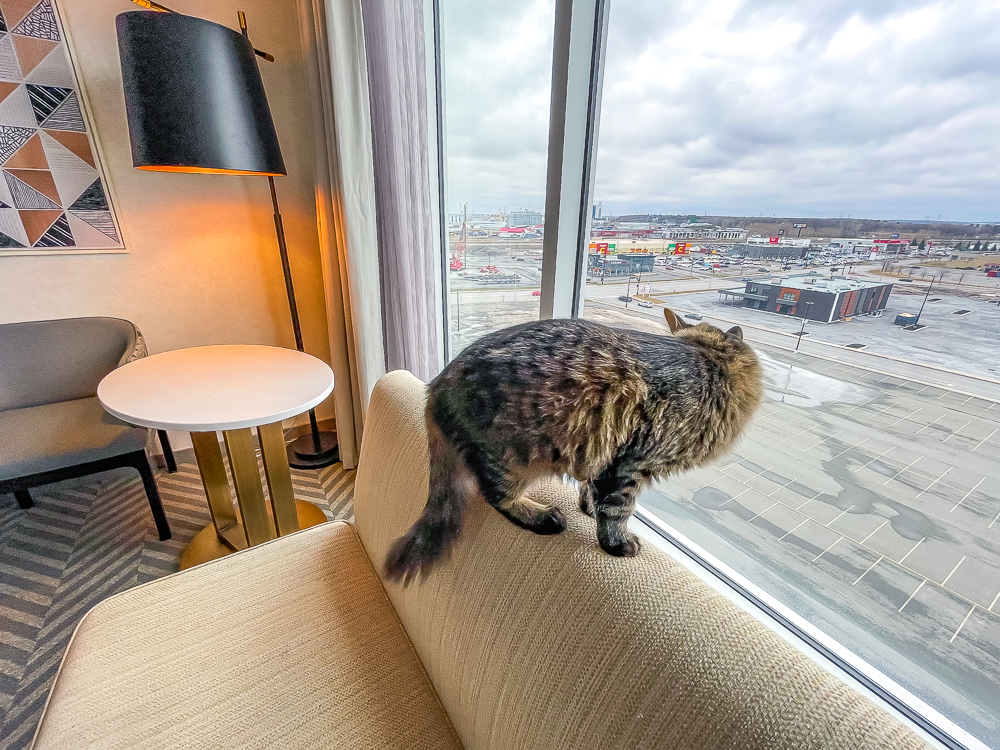 sheraton st-hyacinthe—