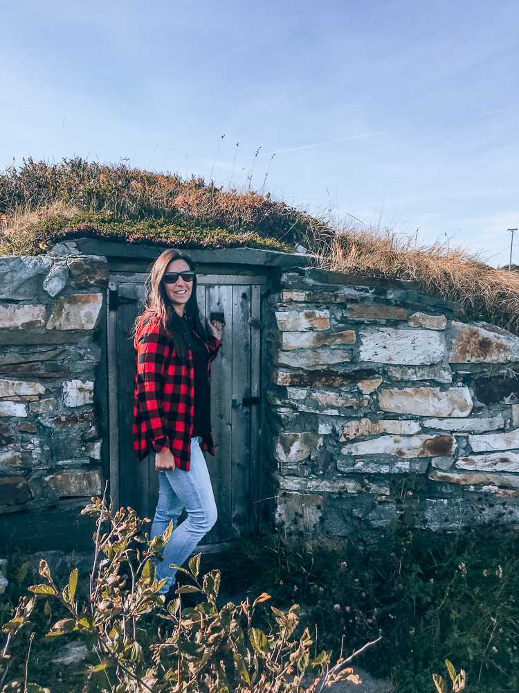 Elliston.root .cellar