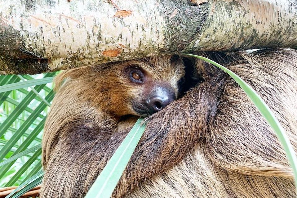Chaudière-Appalaches