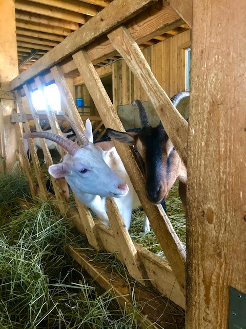 Chaudière-Appalaches