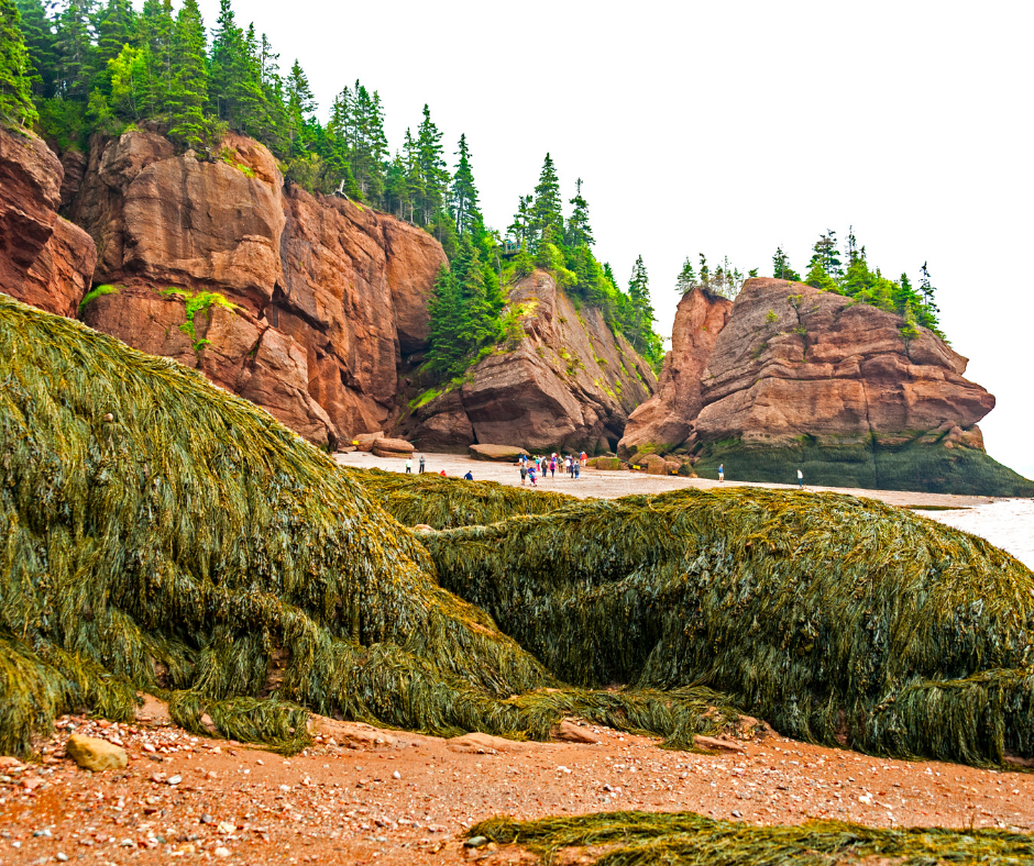 Baie de Fundy–
