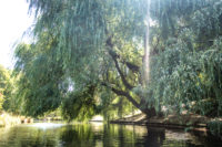 Christchurch Nouvelle Zélande