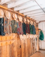 Christchurch Nouvelle Zélande