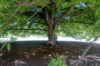 Christchurch Nouvelle Zélande