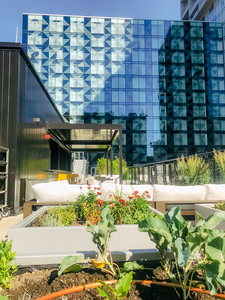 Humaniti Hotel Montreal