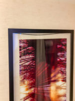 The Westin Harbour Castle Toronto