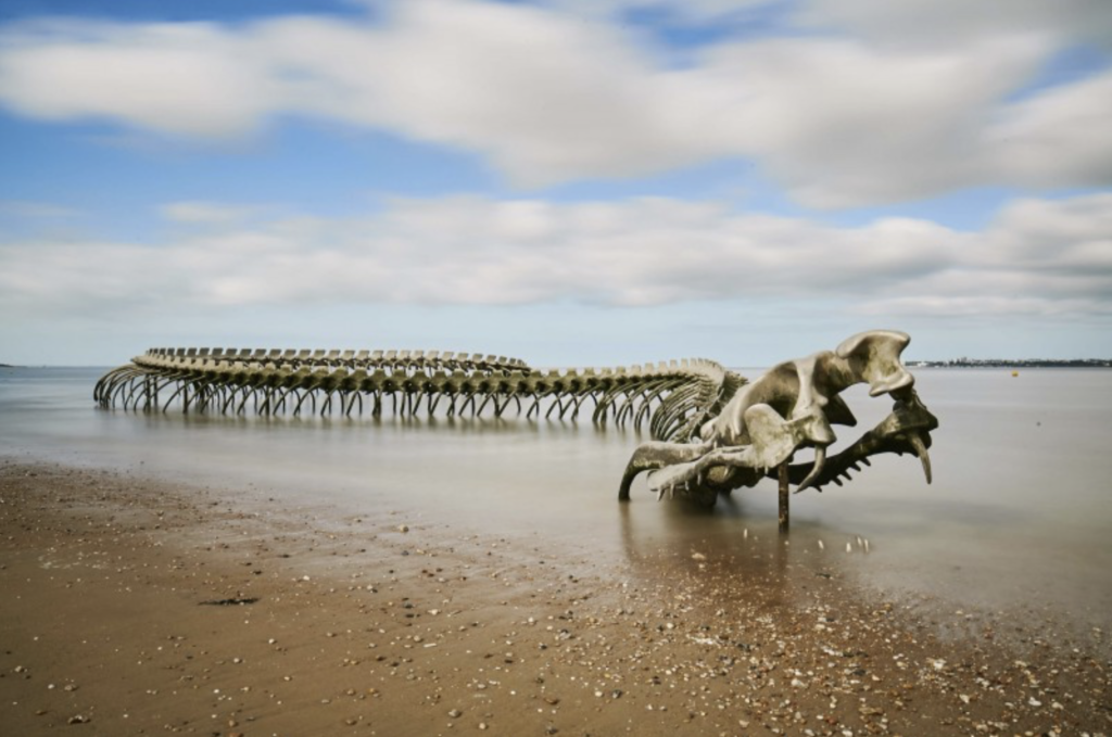 Le serpent d'océan Saint Brevin - Credit Ot St Brevin