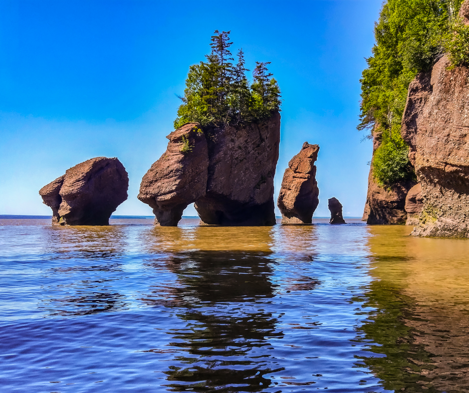 Baie de Fundy