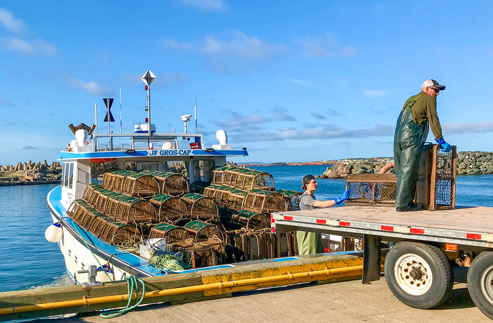 Pêcheurs qui reviennent de la pêche