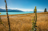 Lac Pukaki