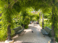 Venise Jardins royaux