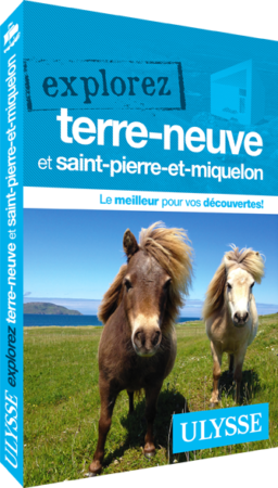 explorez terre neuve ulysse