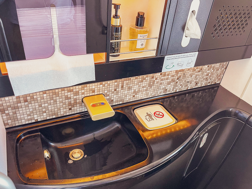 Etihad Business Class