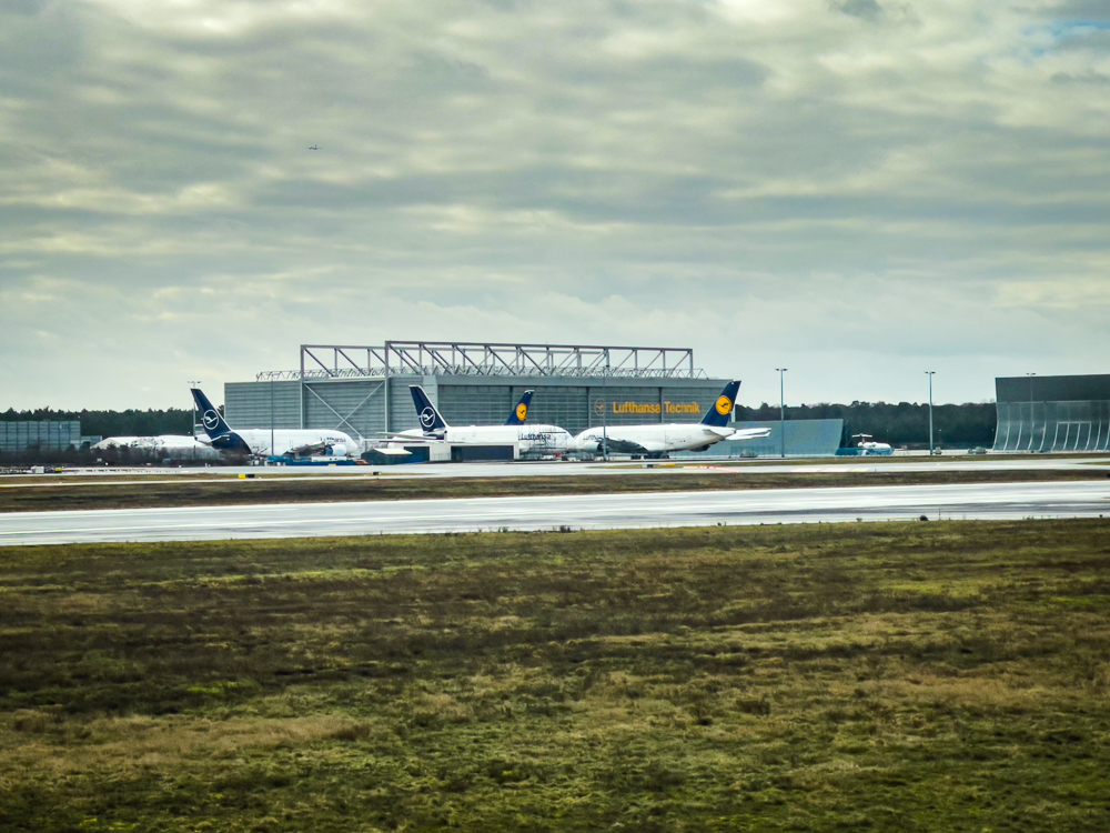 Etihad Business Class