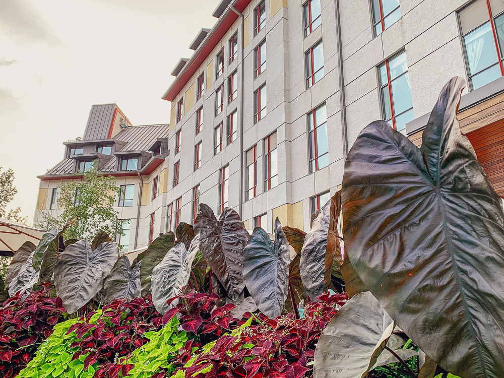 Hotel Fairmont Tremblant