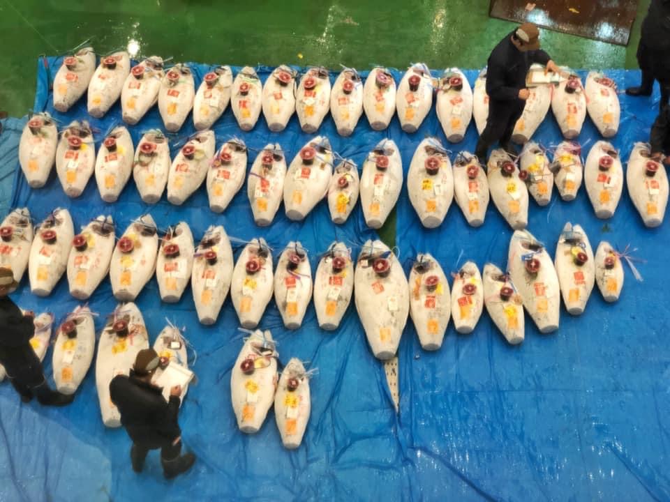 Marché de poisson Toyosu