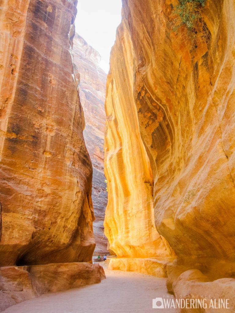 Les gorges de Pétra