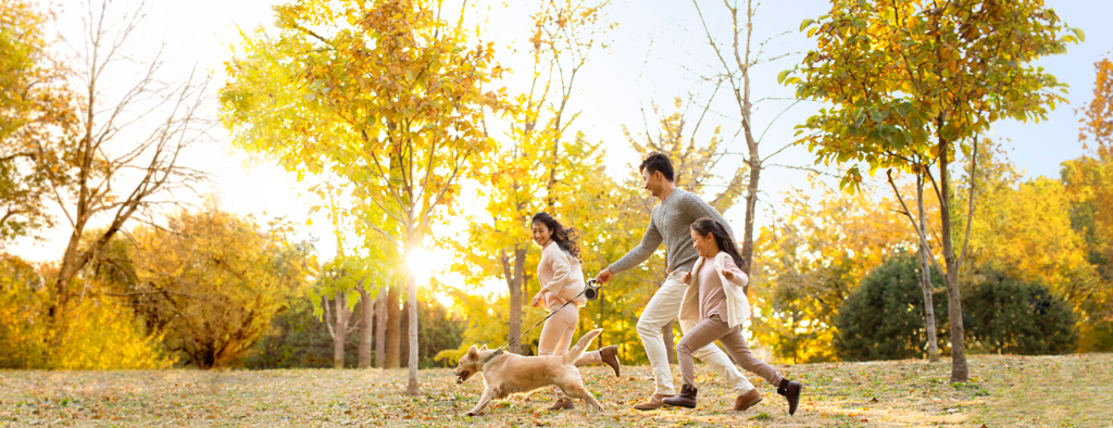 Credit Asia Miles banniere