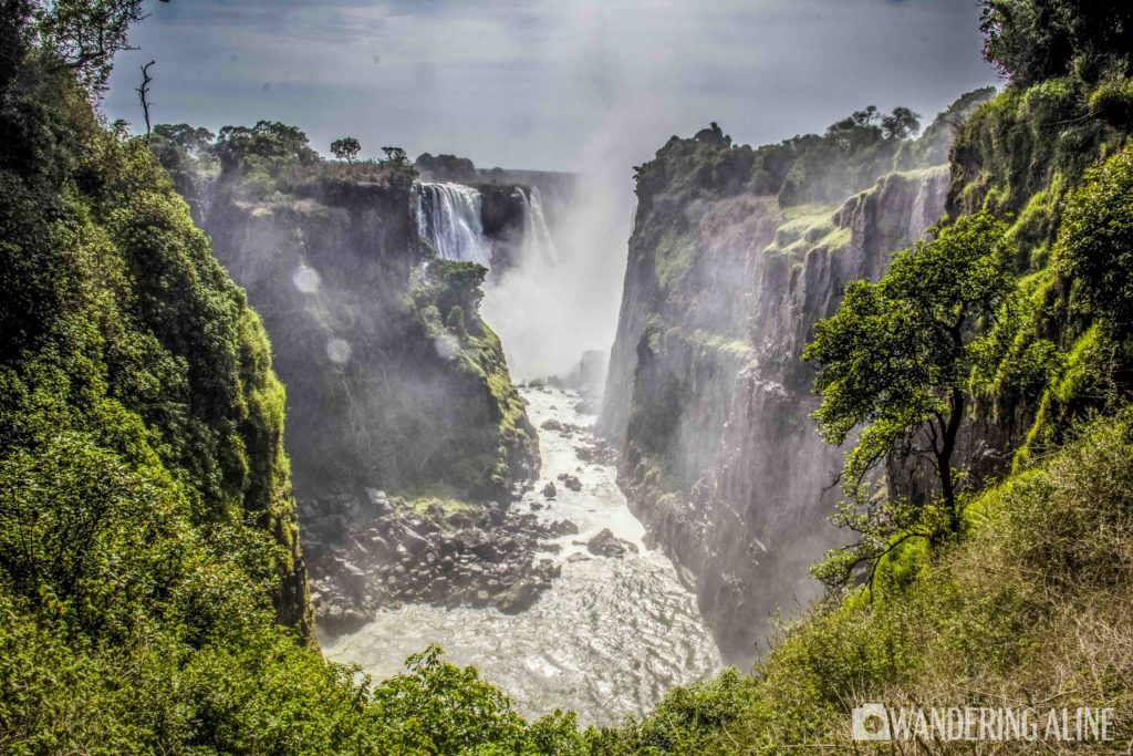 tropical microclimate