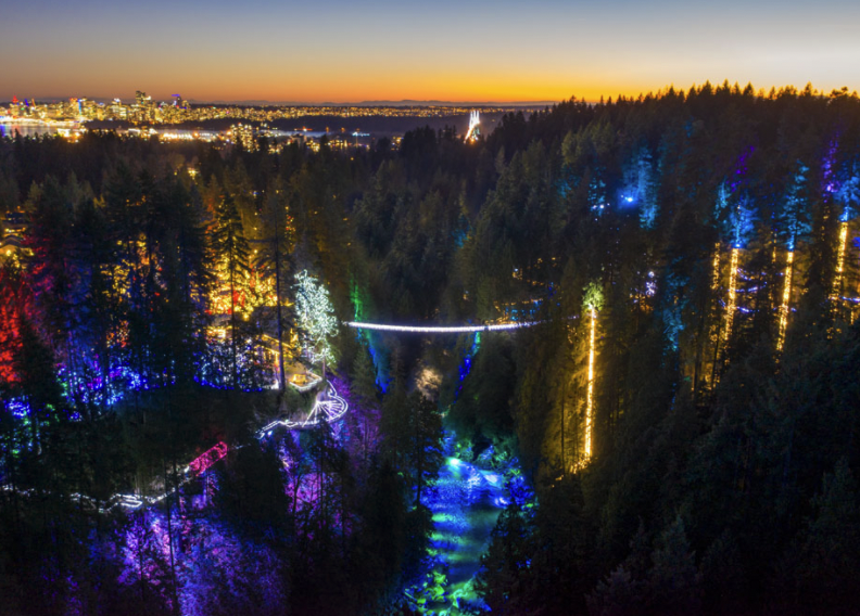 Capilano Bridge lights
