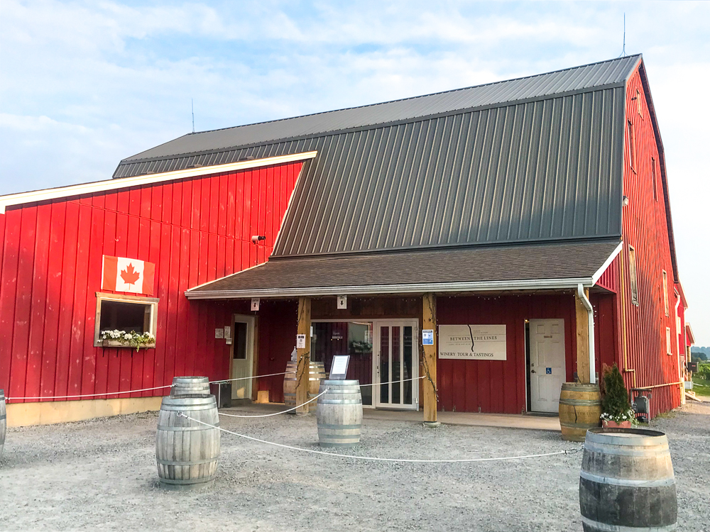 Vignobles Niagara - Between the lines