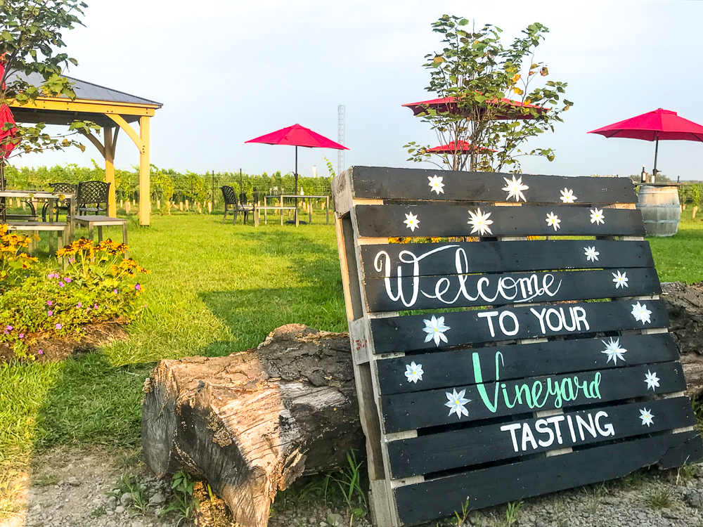 Vignobles Niagara - Between the lines