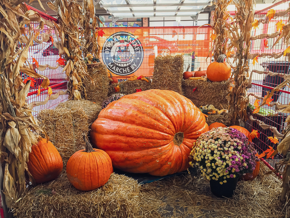 Courtyard by Marriott Ottawa East