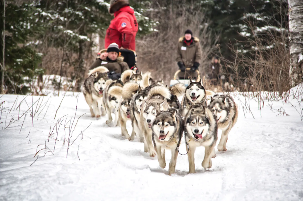Decembre Chalets et Villegiature