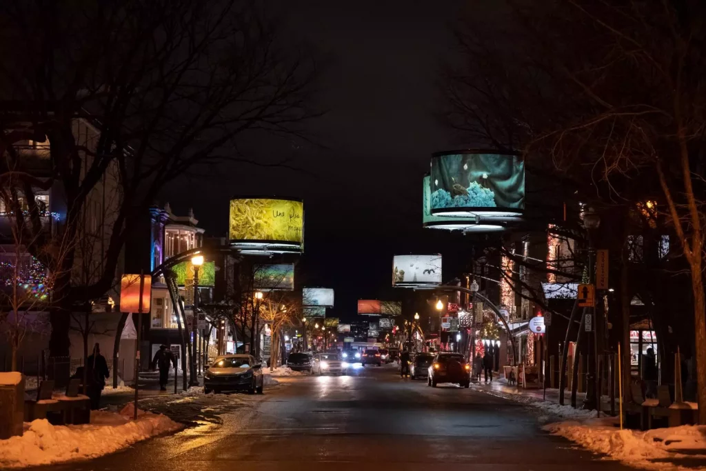 Décembre 2021 Lumière sur l'art