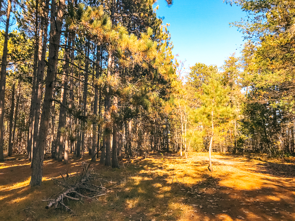 TownPlace Suites Petawawa