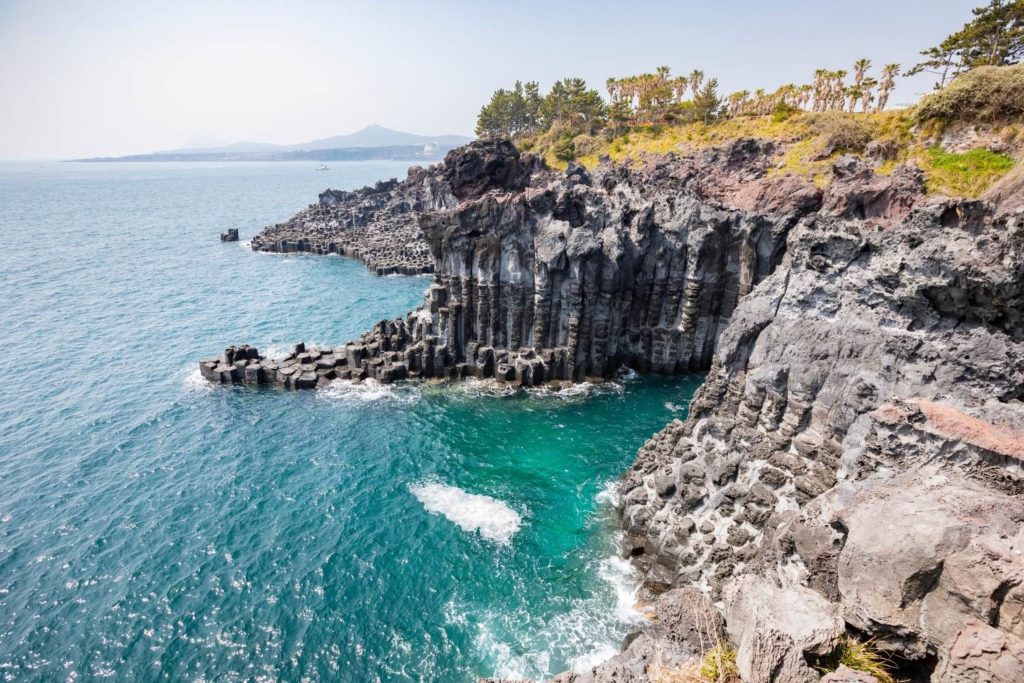 Falaise Jusangjeollidae