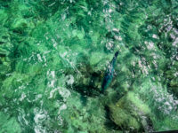 JW Marriott Maldives Resort & Spa