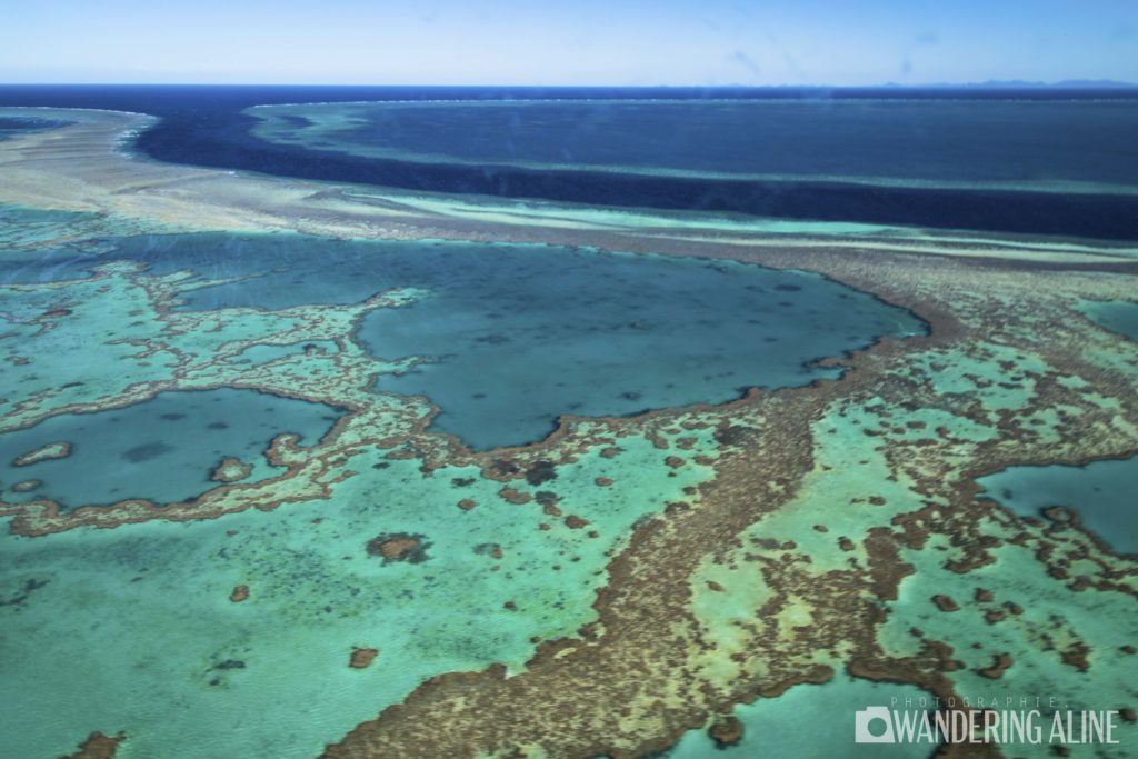 Grande Barrière de Corail