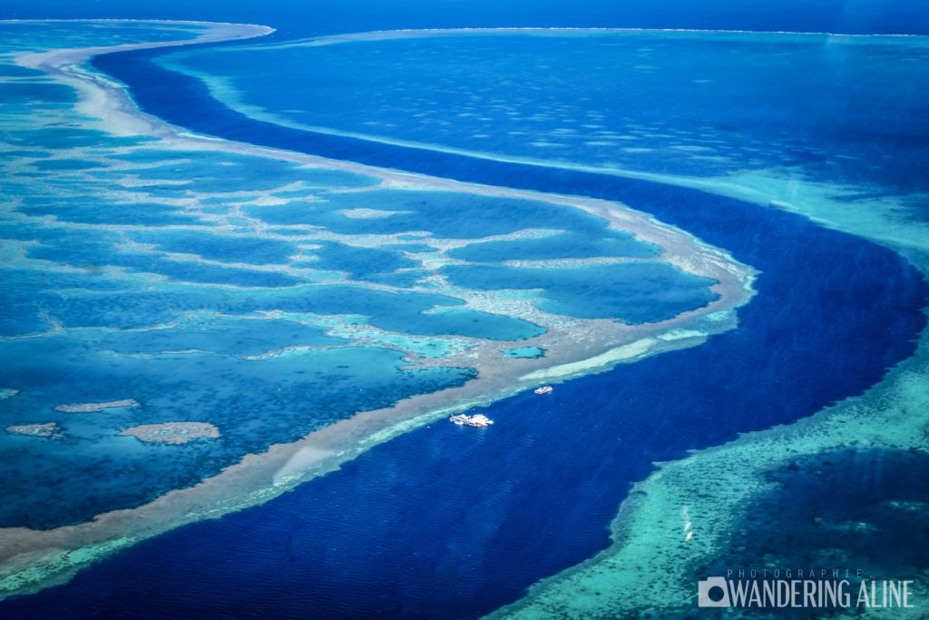 Grande Barrière de Corail