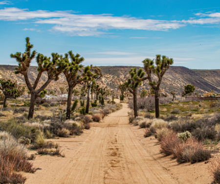 Pioneertown
