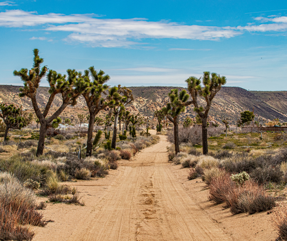 Pioneertown