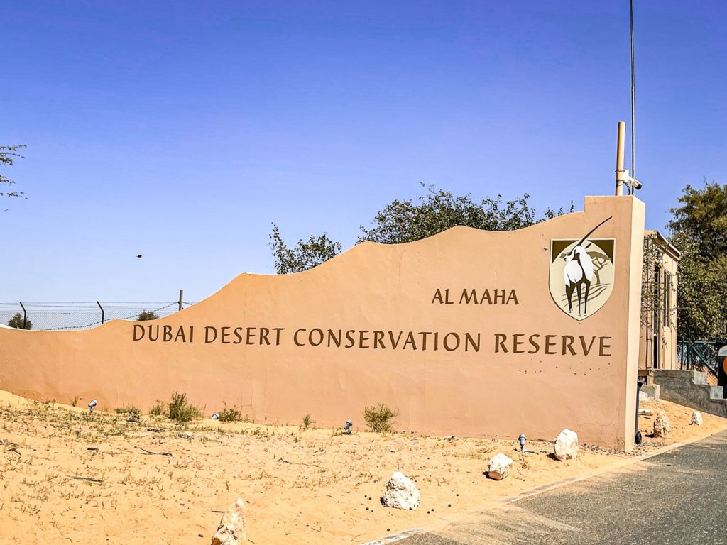 Al Maha Luxury Collection Dubai