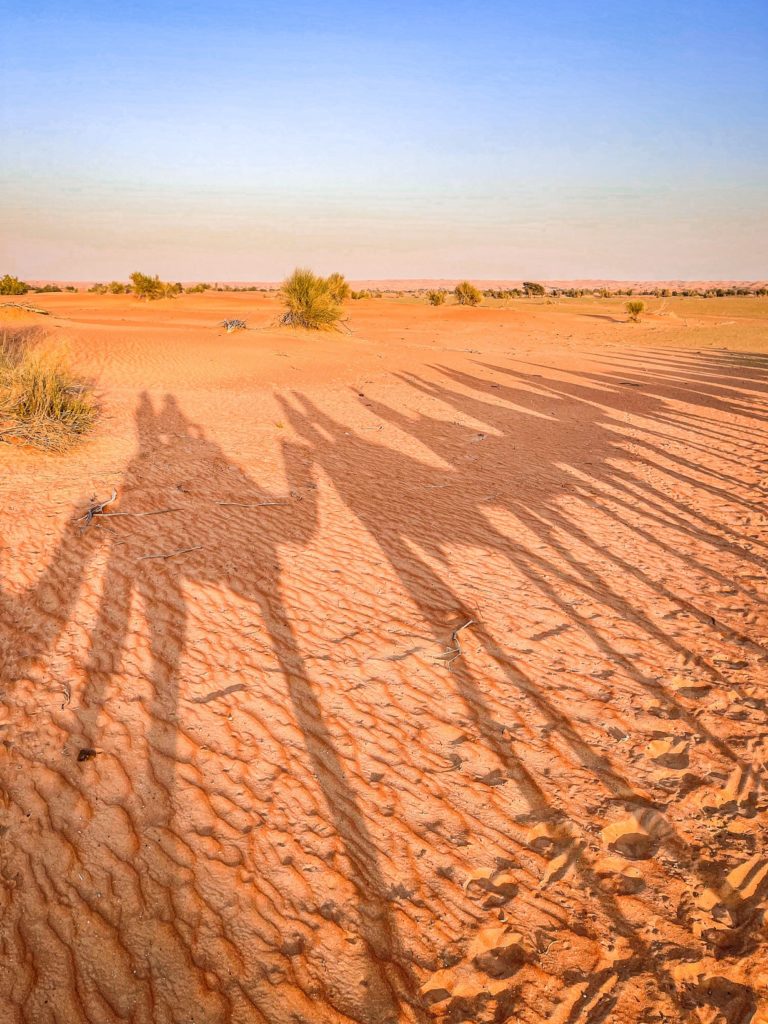 Al Maha Luxury Collection Dubai