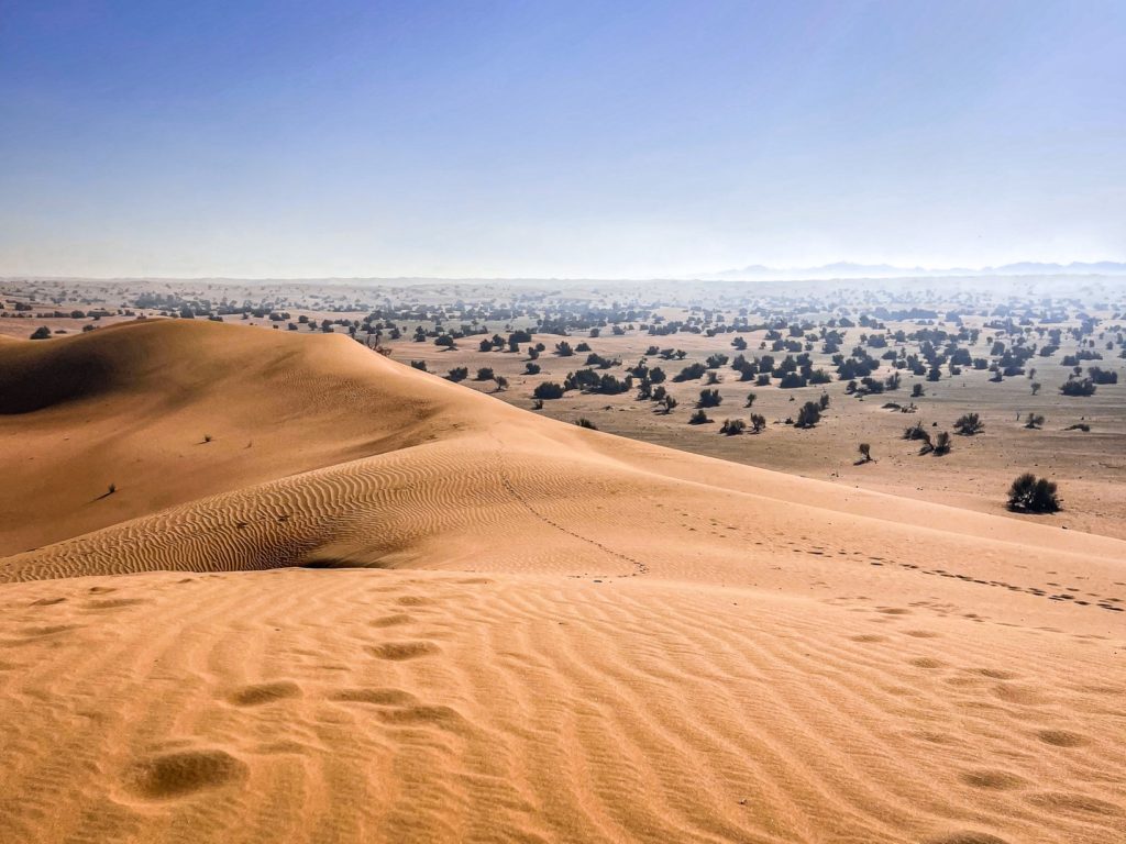 Al Maha Luxury Collection Dubai