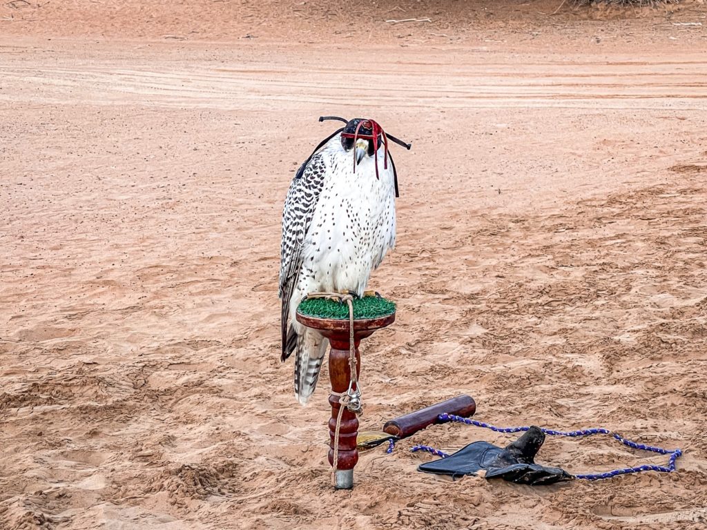 Al Maha Luxury Collection Dubai